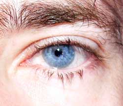 Profil de Davide